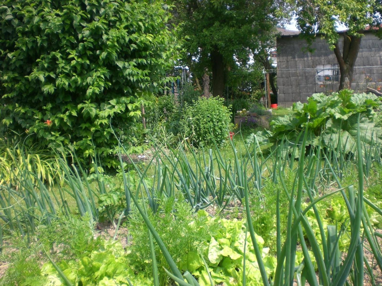 Ferienhof An Der Lay Kerpen  Экстерьер фото
