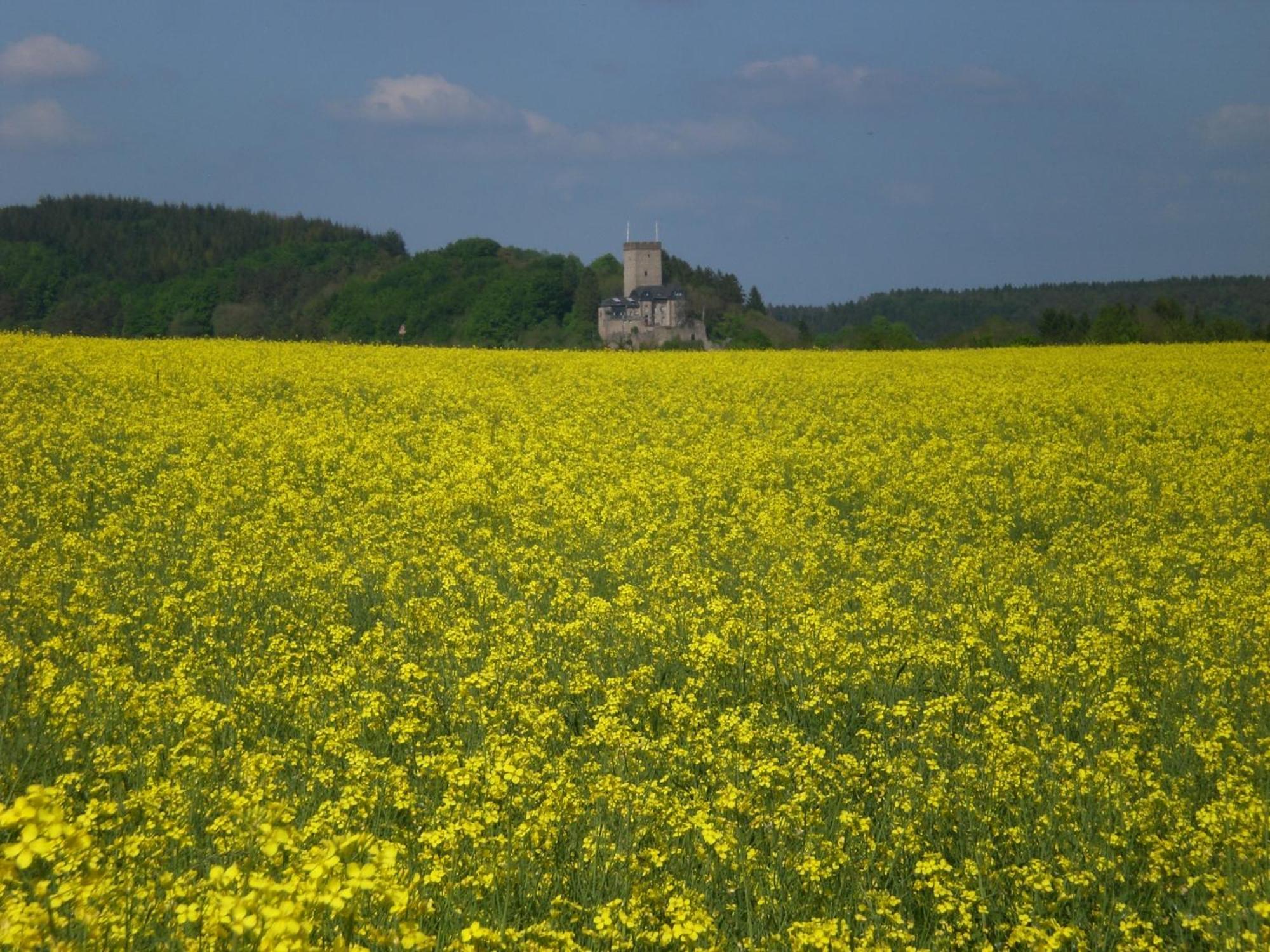 Ferienhof An Der Lay Kerpen  Экстерьер фото