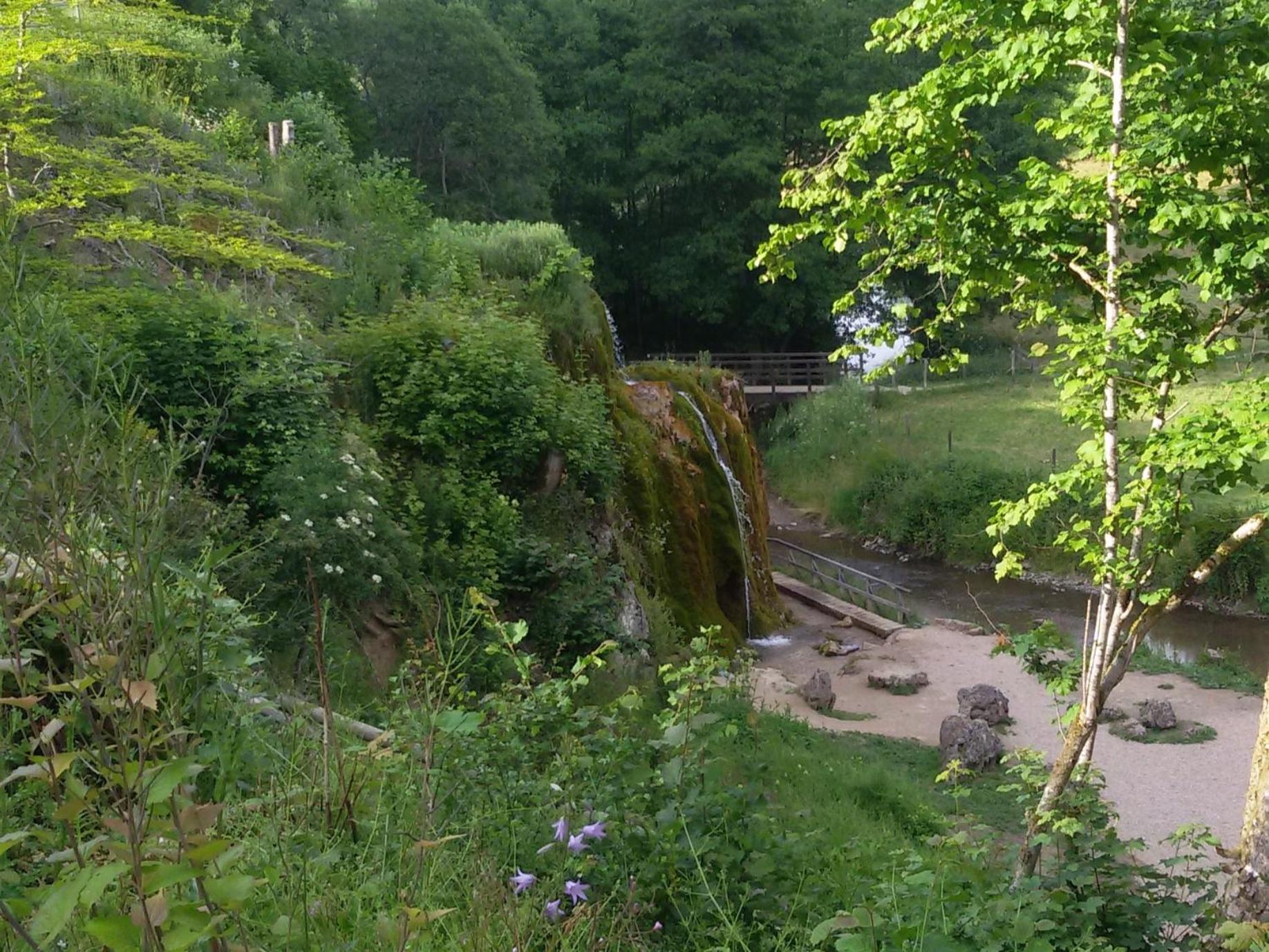 Ferienhof An Der Lay Kerpen  Экстерьер фото