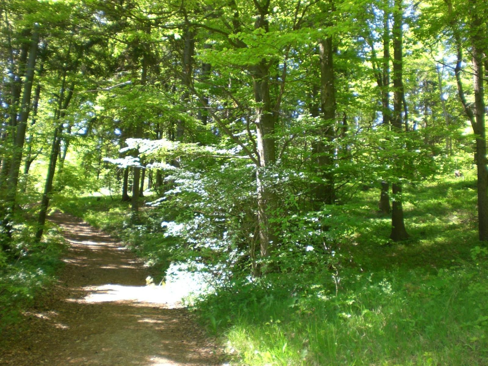 Ferienhof An Der Lay Kerpen  Экстерьер фото